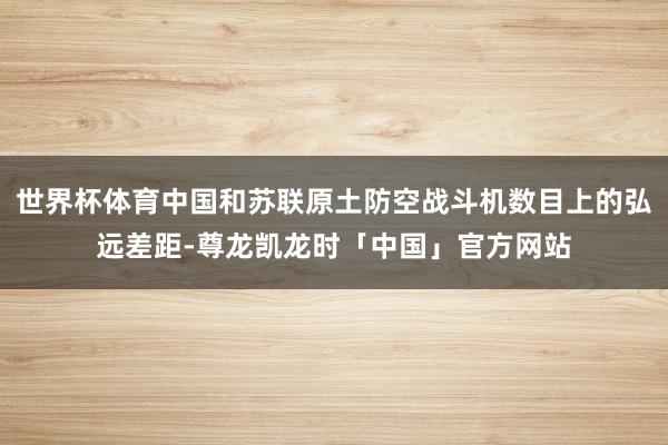 世界杯体育中国和苏联原土防空战斗机数目上的弘远差距-尊龙凯龙时「中国」官方网站
