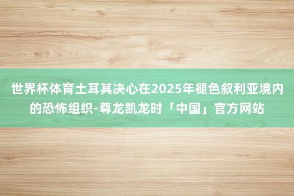 世界杯体育土耳其决心在2025年褪色叙利亚境内的恐怖组织-尊龙凯龙时「中国」官方网站