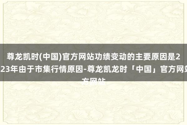 尊龙凯时(中国)官方网站功绩变动的主要原因是2023年由于市集行情原因-尊龙凯龙时「中国」官方网站