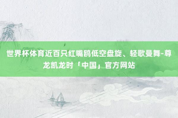 世界杯体育近百只红嘴鸥低空盘旋、轻歌曼舞-尊龙凯龙时「中国」官方网站