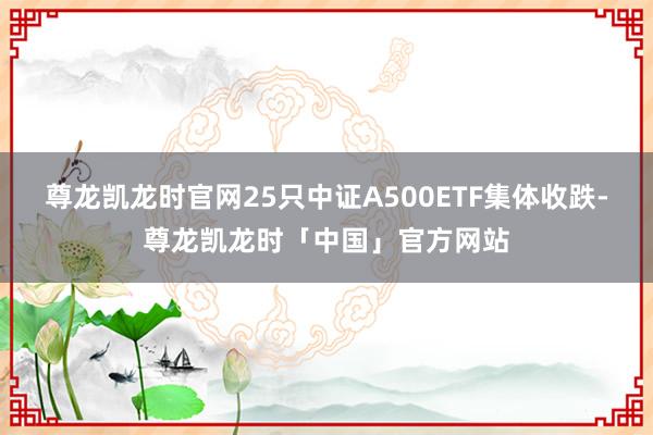 尊龙凯龙时官网25只中证A500ETF集体收跌-尊龙凯龙时「中国」官方网站