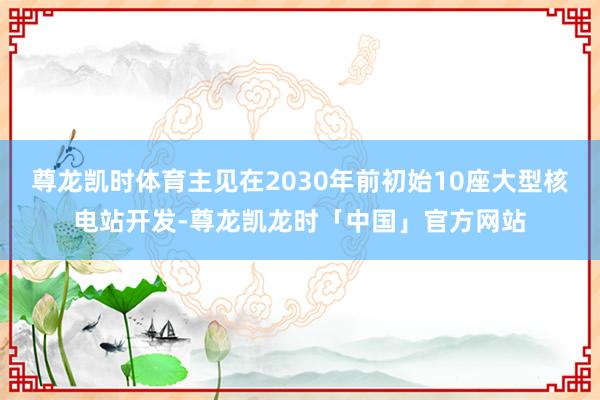 尊龙凯时体育主见在2030年前初始10座大型核电站开发-尊龙