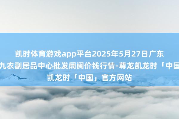 凯时体育游戏app平台2025年5月27日广东东莞市大京九农