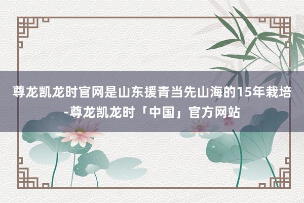 尊龙凯龙时官网是山东援青当先山海的15年栽培-尊龙凯龙时「中
