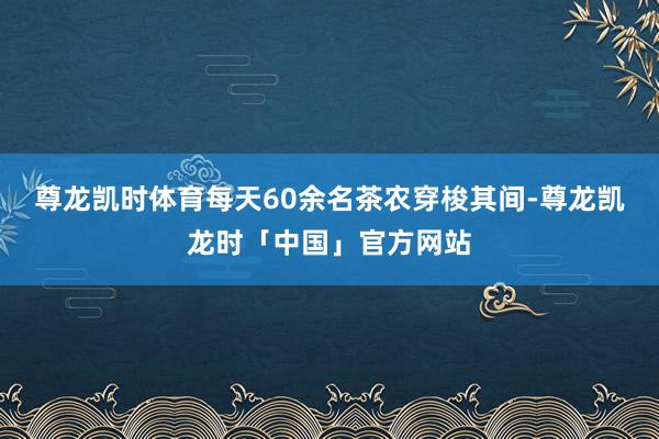 尊龙凯时体育每天60余名茶农穿梭其间-尊龙凯龙时「中国」官方