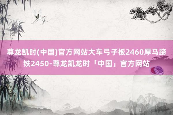 尊龙凯时(中国)官方网站大车弓子板2460厚马蹄铁2450-尊龙凯龙时「中国」官方网站