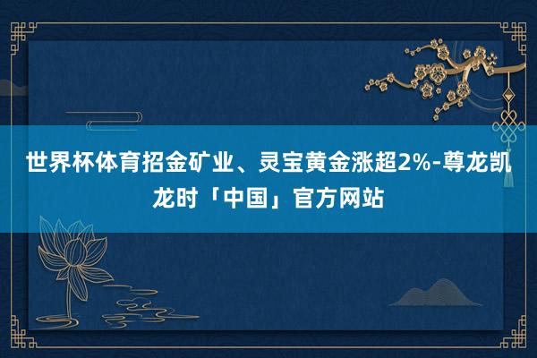 世界杯体育招金矿业、灵宝黄金涨超2%-尊龙凯龙时「中国」官方网站